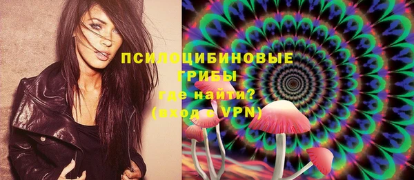 эйфоретик Арсеньев