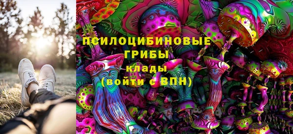 ПСИЛОЦИБИНОВЫЕ ГРИБЫ Армянск
