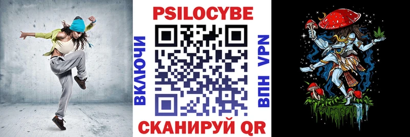 Галлюциногенные грибы Psilocybe  закладки  Урень 