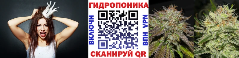 Канабис гибрид Урень