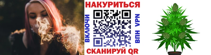 Шишки марихуана Amnesia  Урень 
